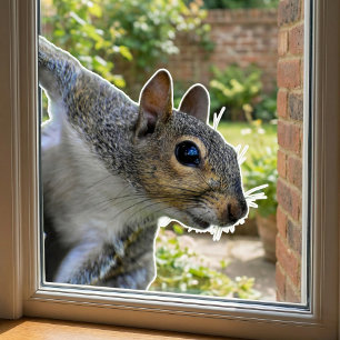 Realistischer Fensteraufkleber mit Eichhörnchen-Mo