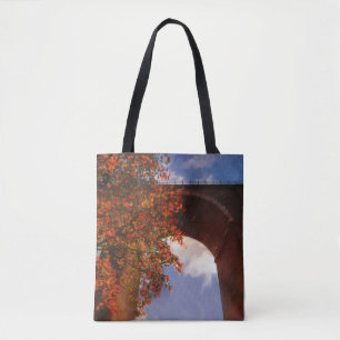 Realistischer Herbstbaum mit roten Blätter in Newq