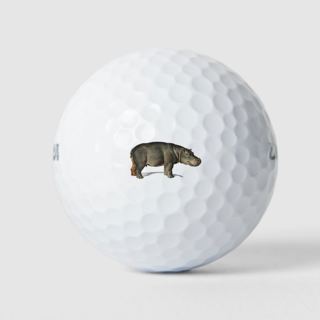 Realistischer Hippo Illustration-Hippopotamus Golfball (Vorderseite)