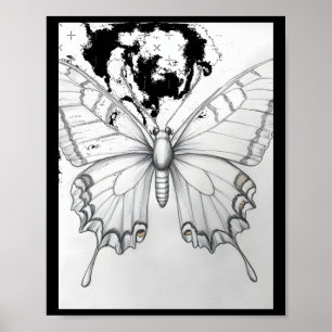 Realistischer Monarch-Falter Bleistiftzeichnung Au Poster