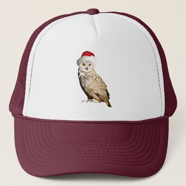 Realistischer Weihnachtskauz mit Mütze und Festiva (Vorderseite)
