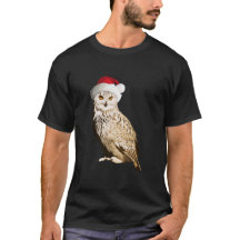 Realistischer Weihnachtskauz mit Mütze und Festiva