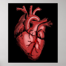 Realistisches Anatomisches Heart Image Poster