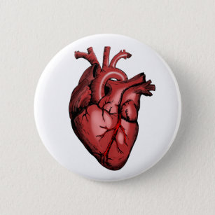 Realistisches Anatomisches Herzbild Button