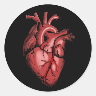 Realistisches Anatomisches Herzbild Runder Aufkleber