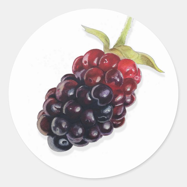 Realistisches BlackBerry-Jam-Aufkleber Runder Aufkleber (Vorderseite)