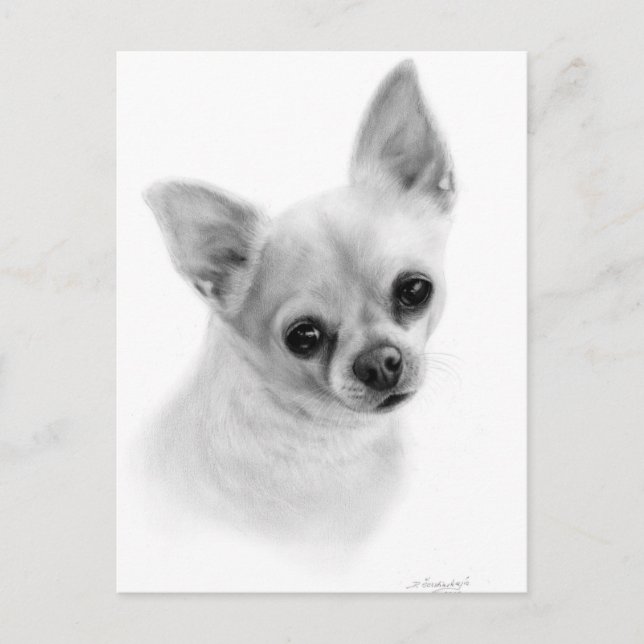 Realistisches Chihuahua-Portrait - Ölgemälde Postkarte (Vorderseite)