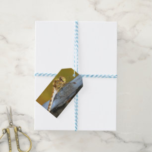 Realistisches Gemälde aus dem Ochsenbraun Geschenkanhänger