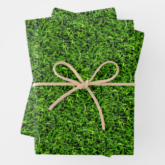 Realistisches Gras Foto Textur Funny Bright Green Geschenkpapier Set