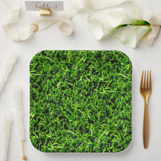 Realistisches Gras Foto Textur Funny Bright Green Pappteller
