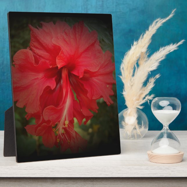 Really Red Fotoplatte (Seite)