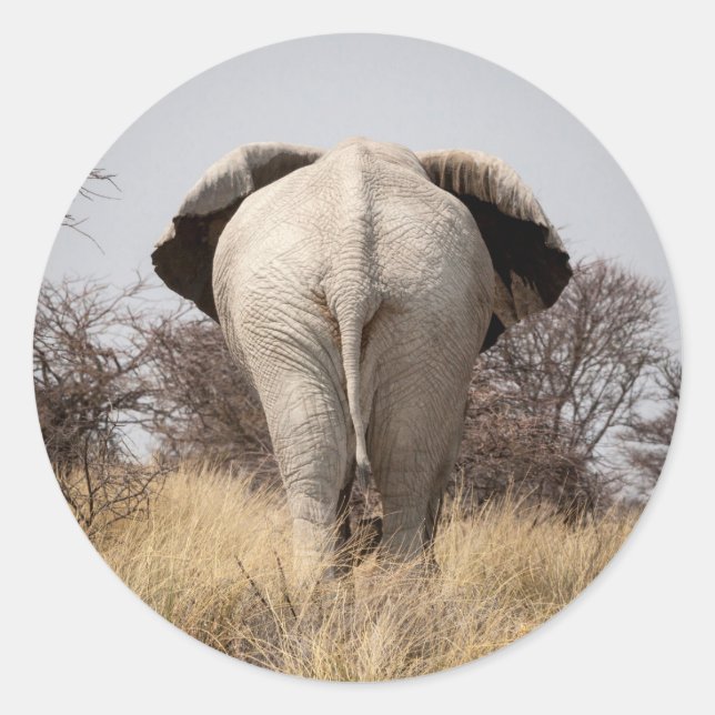 Rear view of elephant runder aufkleber (Vorderseite)