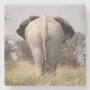 Rear view of elephant steinuntersetzer