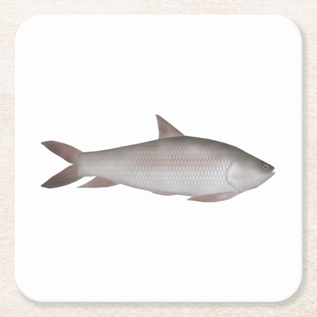 Reba Carp Rechteckiger Pappuntersetzer (Vorderseite)