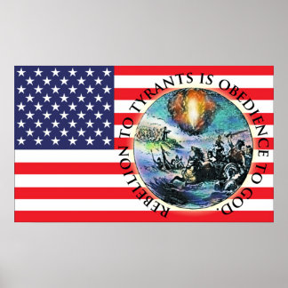 Rebellion US Flag Posters Poster