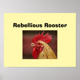 Rebellischer Hahn Poster