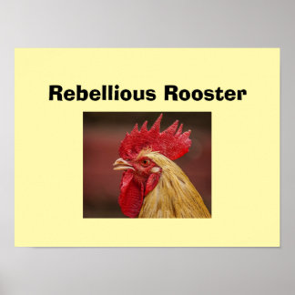 Rebellischer Hahn Poster