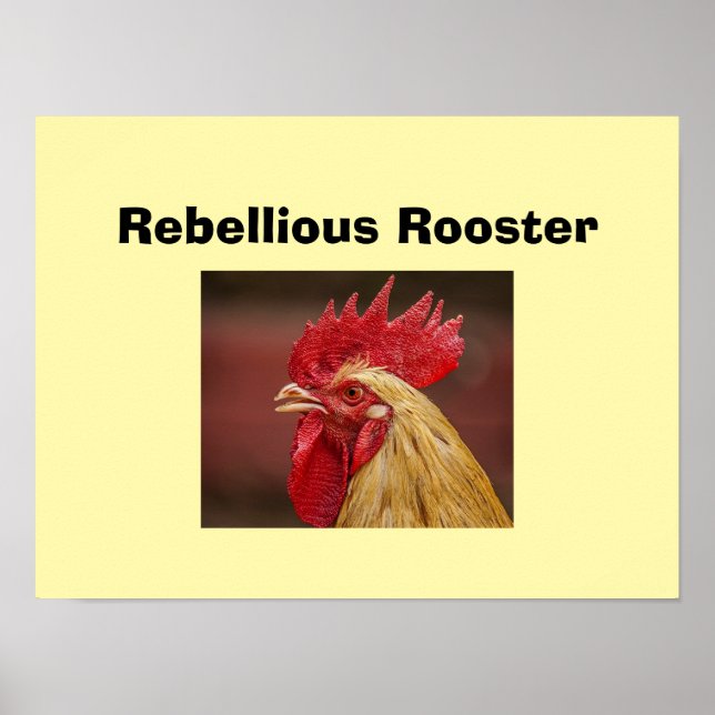 Rebellischer Hahn  Poster (Vorne)