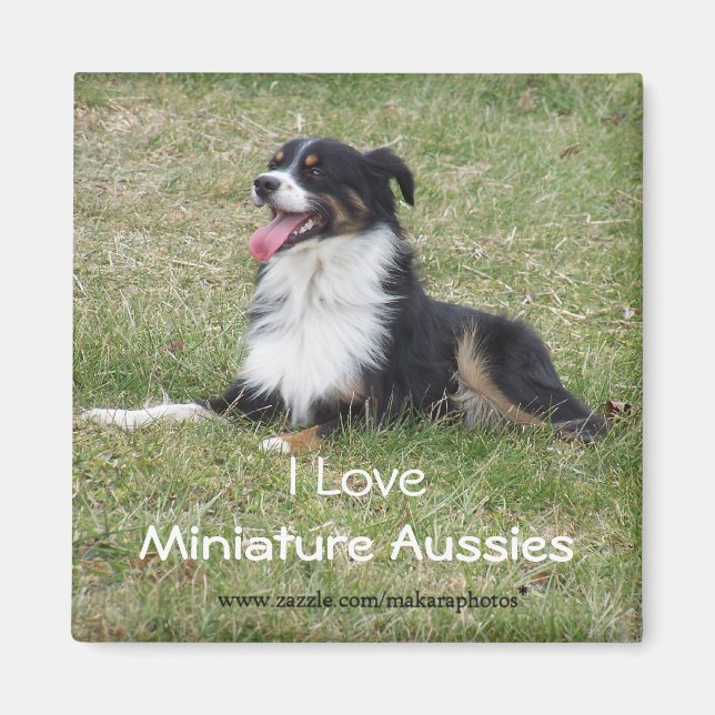 RebelMagnet-anpassen Magnet (Vorne)