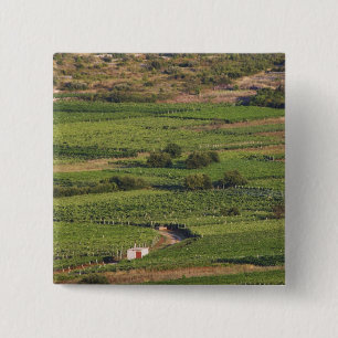 Reben auf Korcula aus der Toreta Button