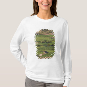 Reben auf Korcula aus der Toreta T-Shirt