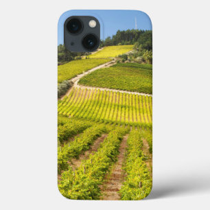 Rebfläche, Stellenbosch, Western iPhone 13 Hülle