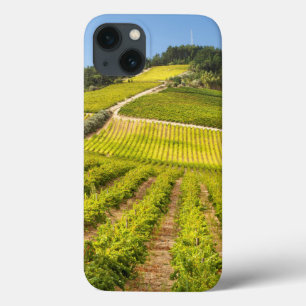 Rebfläche, Stellenbosch, Western Case-Mate iPhone Hülle