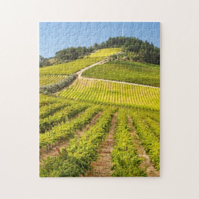 Rebfläche, Stellenbosch, Western Puzzle (Vertikal)