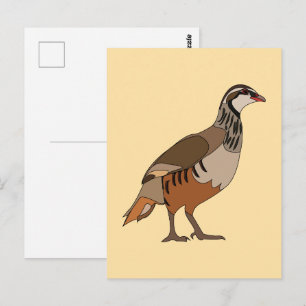 Rebhuhn Chukar Vogel Postkarte