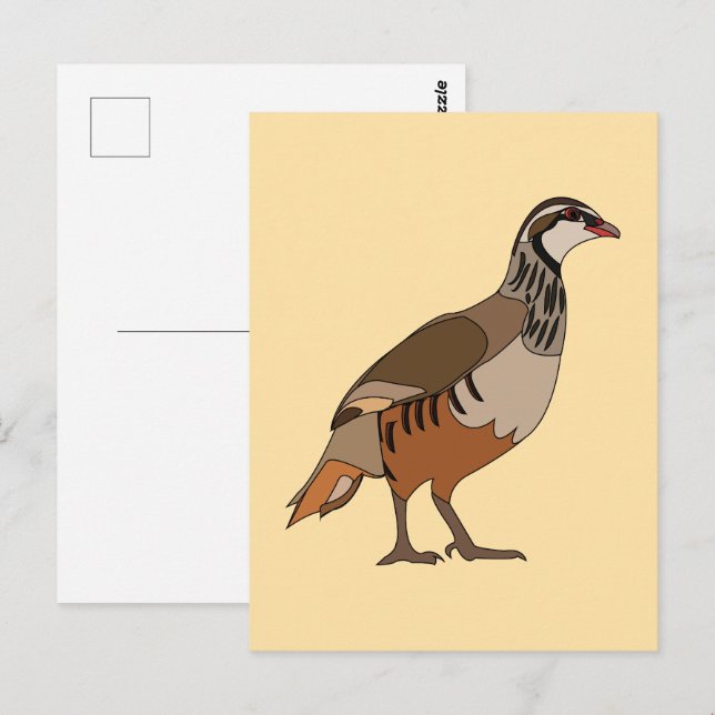 Rebhuhn Chukar Vogel Postkarte (Vorne/Hinten)