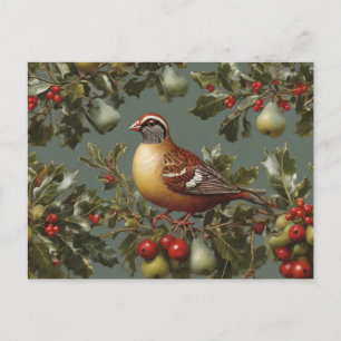 Rebhuhn im Birnbaum Postkarte