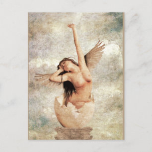 Rebirth Postcard Postkarte