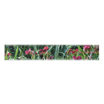 Reblooming Taglilien