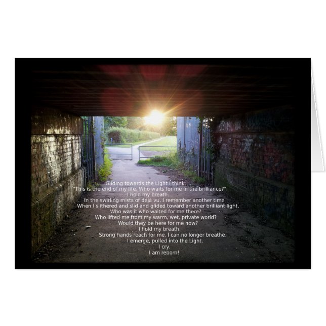 Reborn von Fredi Stewart (Vorderseite (Horizontal))