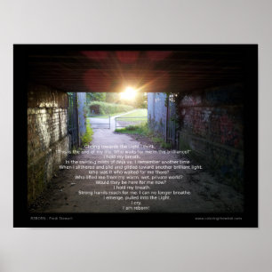 Reborn von Fredi Stewart Poster