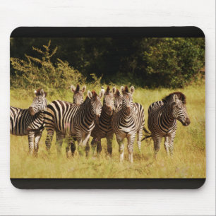 Recht an Ihnen - Zebrassafariwild lebende tiere Mousepad