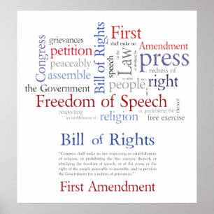 Recht auf freie Meinungsäußerung Poster