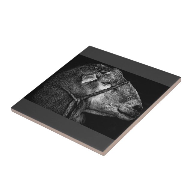 Recht Fliese (Seite)