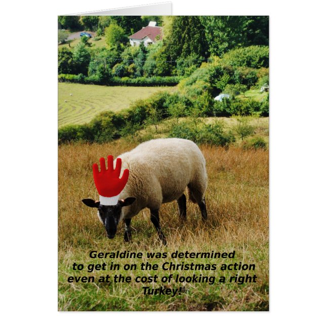 Rechter Truthahn! (Vorne)