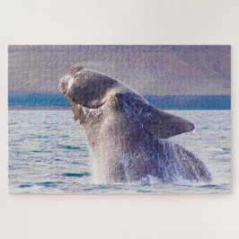 Rechter Whale Puzzle