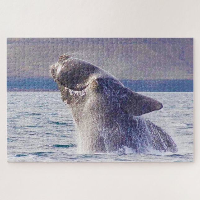 Rechter Whale Puzzle (Horizontal)