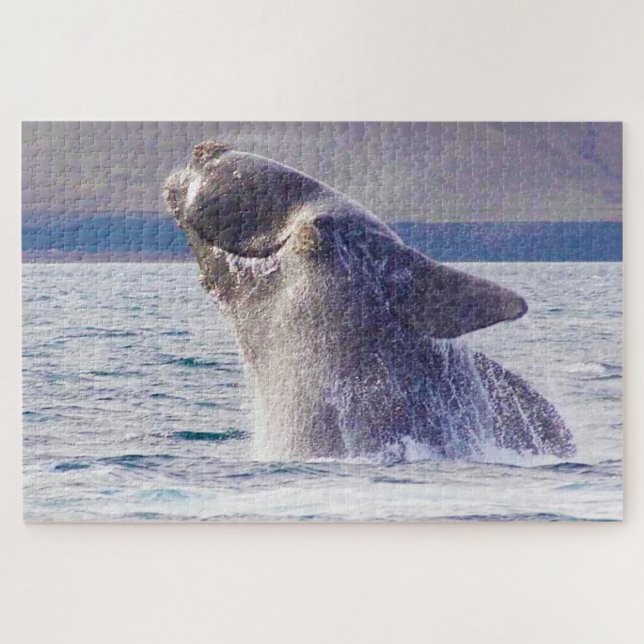 Rechter Whale Puzzle (Horizontal)
