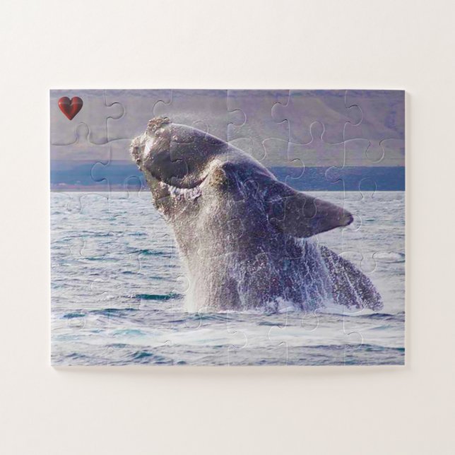 Rechter Whale Puzzle (Horizontal)