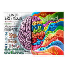 Rechtes Gehirn Verlassen Hirnplakat