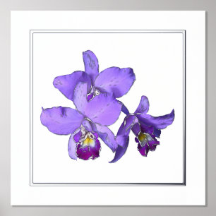Rechtes Lila Orchid Group Print Poster