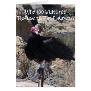 Rechtsanwälte und "berufliche Höflichkeits-"