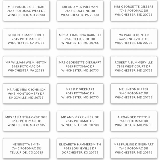Recipient Name 18 Shipping Large Address Labels (Vorderseite)
