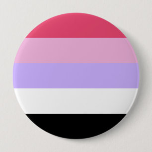 Reciprosexual Pride Flag Button