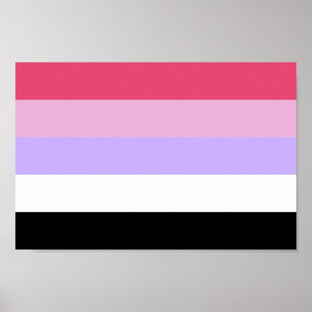Reciprosexueller Stolz Poster (Vorne)