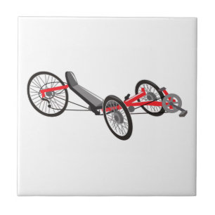 Recumbent Trike Fliese
